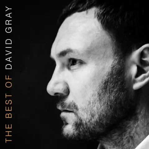 Vinyl GRAY, DAVID - BEST OF DAVID GRAY