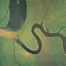 SERPENT'S EGG thumbnail
