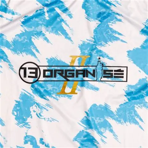 13 Organisé – CD 13 ORGANISE - VOLUME 2