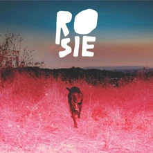 Kaycie Satterfield, Vinyl ROSIE