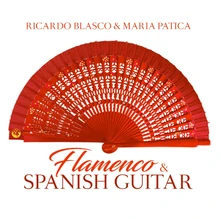 CD FLAMENCO & SPANISH GUITAR