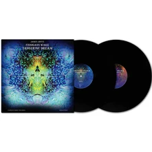 Tangerine Dream, Vinyl FINNEGAN'S WAKE