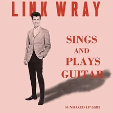 Vinyl SINGS AND PLAYS GUITAR