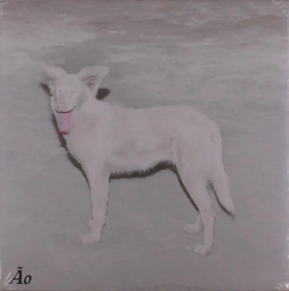 AO – MALANDRA (Vinyl)