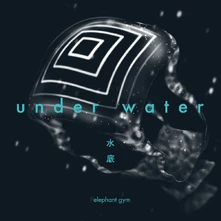 Elephant Gym, Vinyl UNDERWATER
