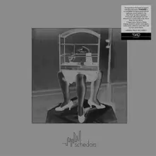 Vinyl SCHEDARS