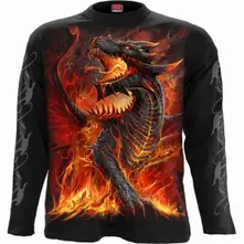 Draconis