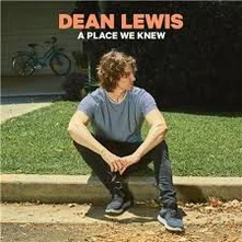 Vinyl A Place We Knew