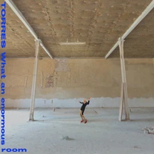 TORRES, Vinyl WHAT AN ENORMOUS ROOM