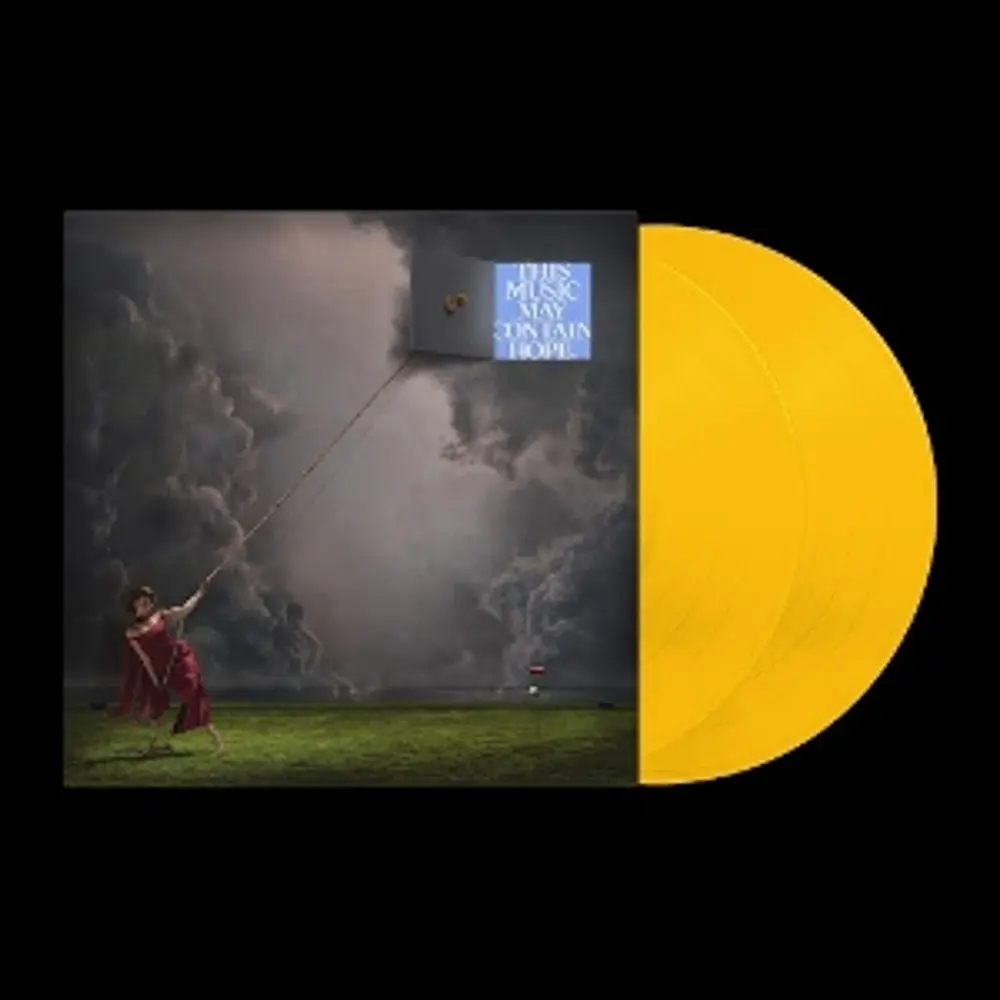 Raye – THIS MUSIC MAY CONTAIN... (Vinyl)