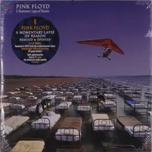 A MOMENTARY LAPSE OF REASON thumbnail