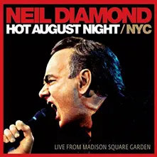 Hot August Night / NYC thumbnail