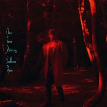 One True Pairing, CD ENDLESS RAIN