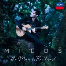 THE MOON & THE FOREST thumbnail
