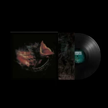 Vinyl NOBODY'S COMING TO SAVE YOU