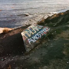 FIDLAR, Vinyl ALMOST FREE