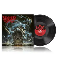 Frozen Soul, Vinyl No Place of Warmth