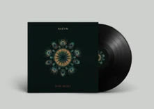 Vinyl WIDE AWAKE