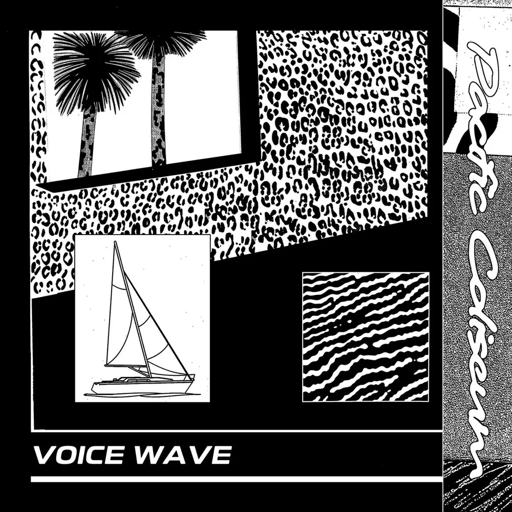 VOICE WAVE