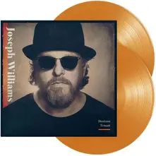 Vinyl DENIZEN TENANT