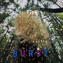 Snarls, Vinyl BURST