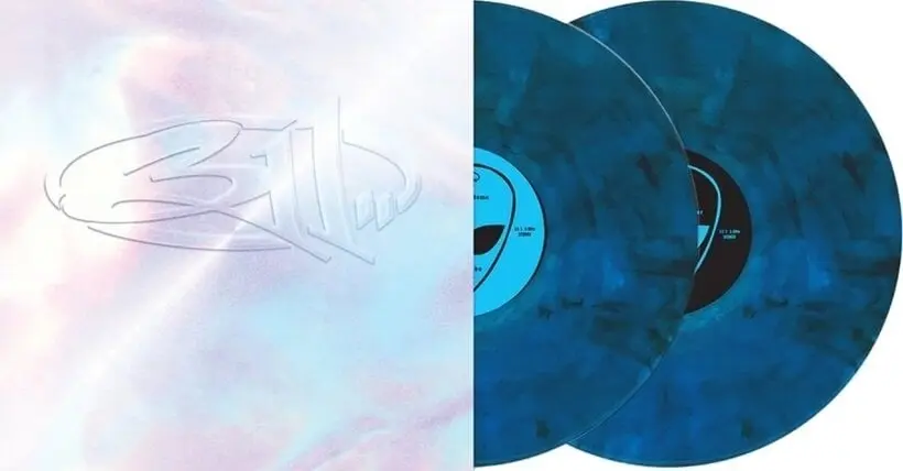 311 (30th Anniversary) (Vinyl)
