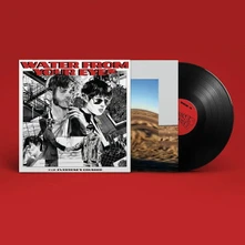 Vinyl EVERYONE'S CRUSHED