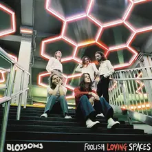 FOOLISH LOVING SPACES thumbnail