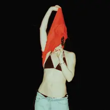 Anna Shoemaker, Vinyl SOMEONE SHOULD STOP HER