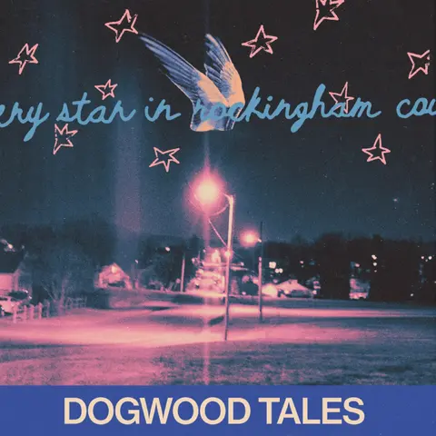 EVERY STAR IN ROCKINGH...