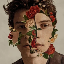 Vinyl SHAWN MENDES