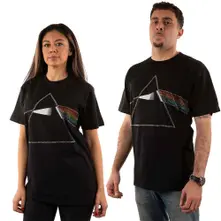 Dark Side of the Moon thumbnail