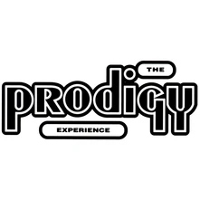 Vinyl Experience