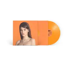 Vinyl VISITOR