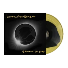 The Bouncing Souls, Vinyl BORN TO BE