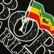 Flag Logo thumbnail