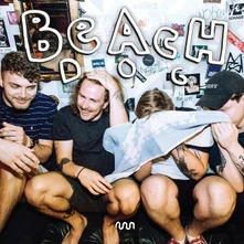 Beachdog, Vinyl CRAWL IN PIECES