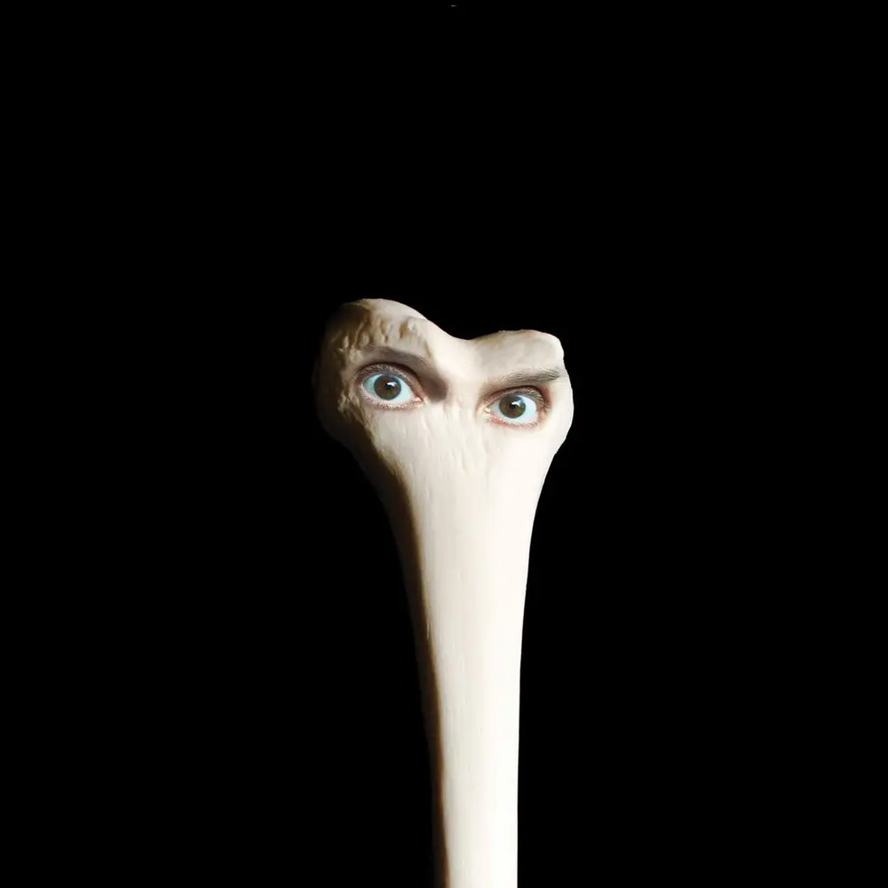 Juana Molina – MOLINA, JUANA - HALO (CD)