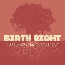 BIRTHRIGHT: A BLACK ROOTS MUSIC COMPENDIUM thumbnail