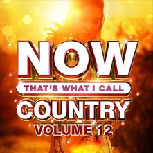 V/A, CD NOW THAT'S WHAT I CALL COUNTRY VOL.12