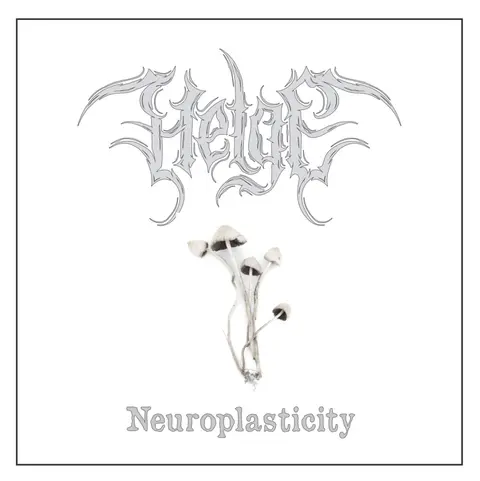 NEUROPLASTICITY