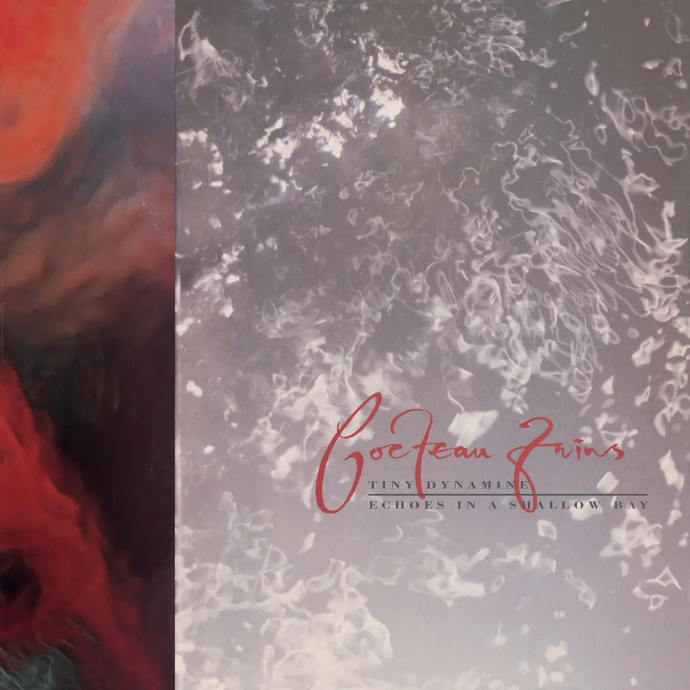 TINY DYNAMINE/ECHOES IN A SHALLOW