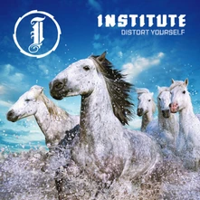 Institute, Vinyl DISTORT YOURSELF