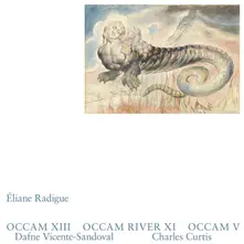 OCCAM XII, OCCAM RIVER XI, OCCAM V thumbnail