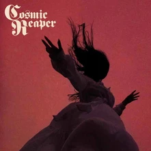 Cosmic Reaper, Vinyl BLEED THE WICKED, DROWN THE DAMNED