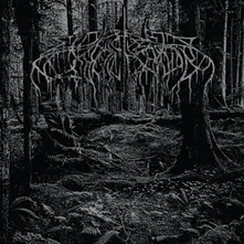 Wolves in the Throne Room, Vinyl 2005 DEMO