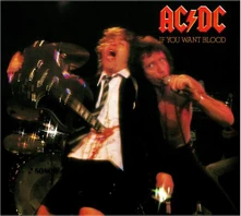 Vinyl If You Want Blood You've Got It
