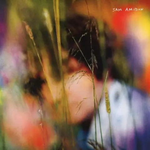 SAM AMIDON