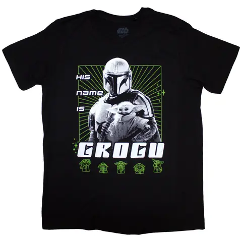 The Mandalorian His Name Is Grogu