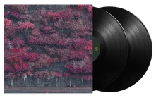 Sleep Token, Vinyl Even In Arcadia